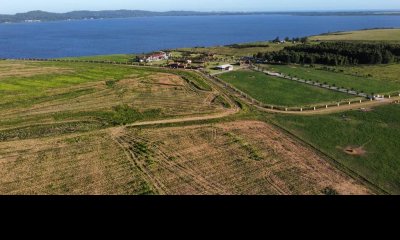 Venta Chacra 5 Hectarias en Complejo Laguna del Sauce