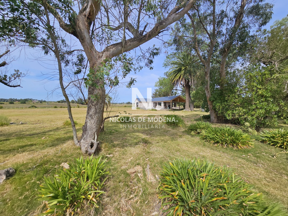 Ruta 104 - GoPunta - Portal Inmobiliario de Punta del Este - Maldonado