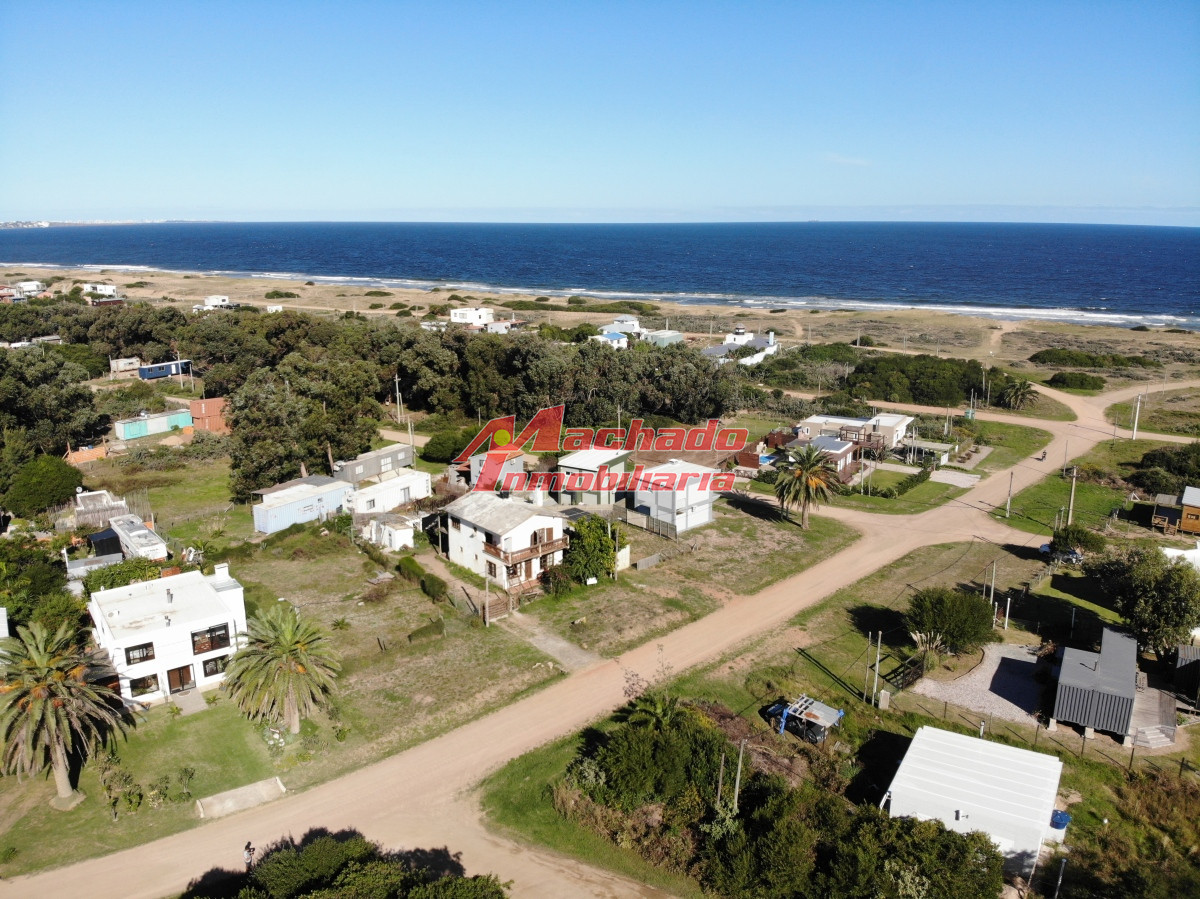 Sauce de Portezuelo - GoPunta - Portal Inmobiliario de Punta del Este - Maldonado