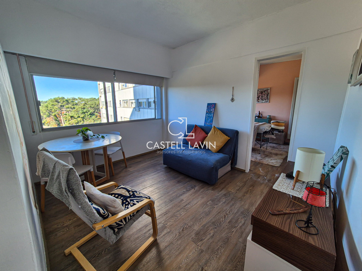 Apartamento ID.543 - Venta Apartamento 1 Dormitorio Roosevelt Punta del Este 