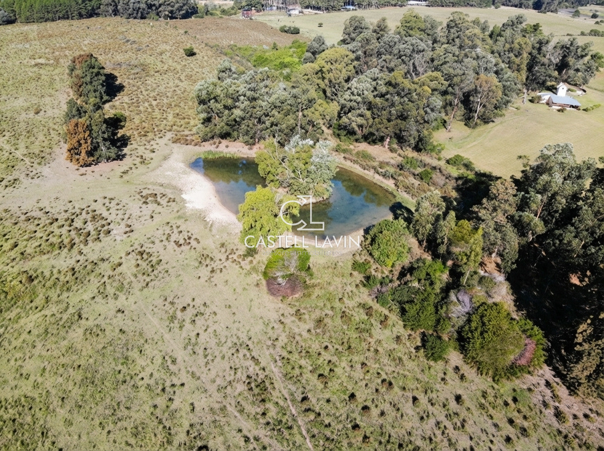 Chacra ID.795 - Venta Chacra 5 Dormitorios La Pataia Punta Ballena
