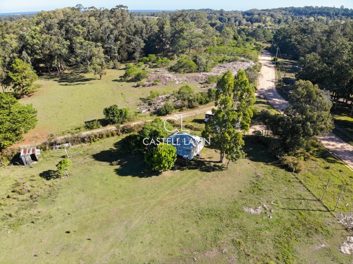 Chacra ID.795 - Venta Chacra 5 Dormitorios La Pataia Punta Ballena