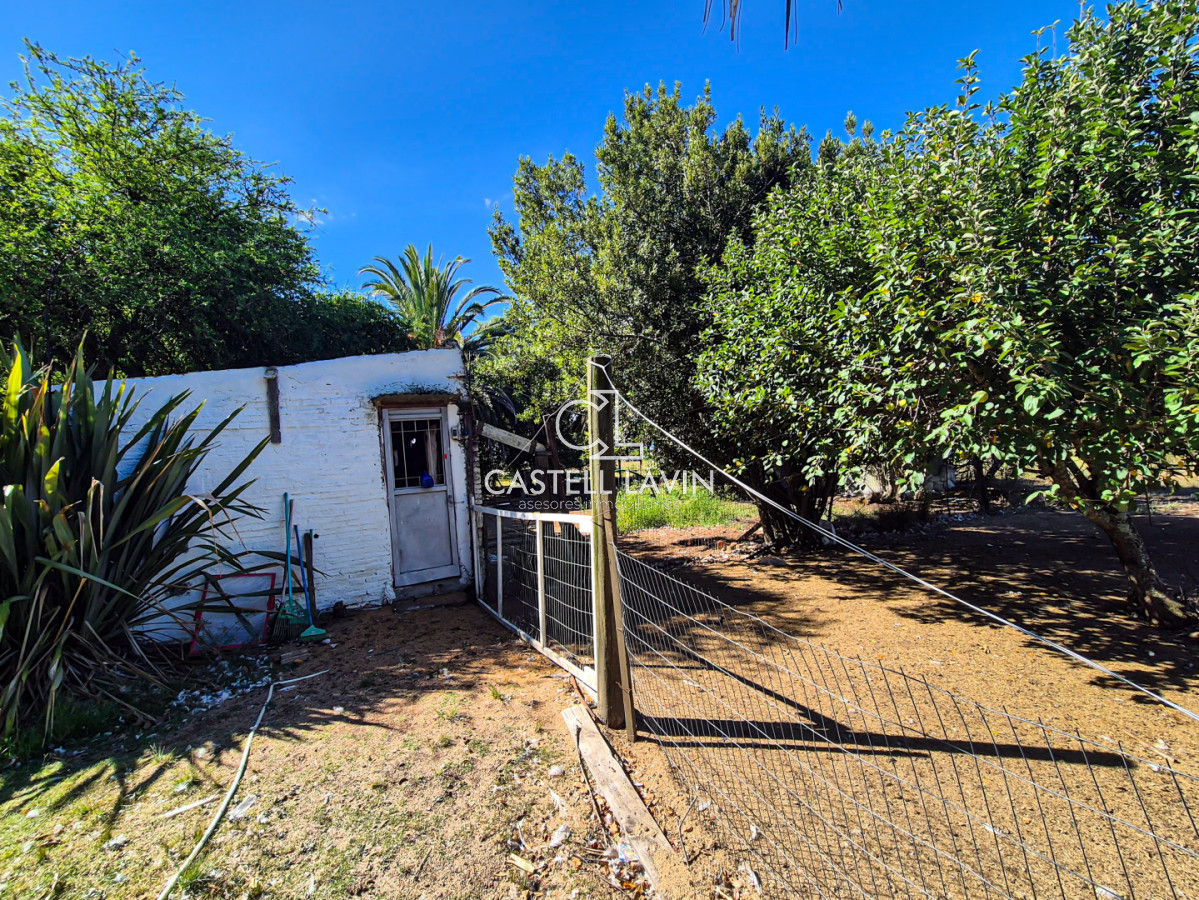 Chacra ID.1021 - Venta Chacra 4 Dormitorios en Camino de los Ceibos San Carlos Maldonado