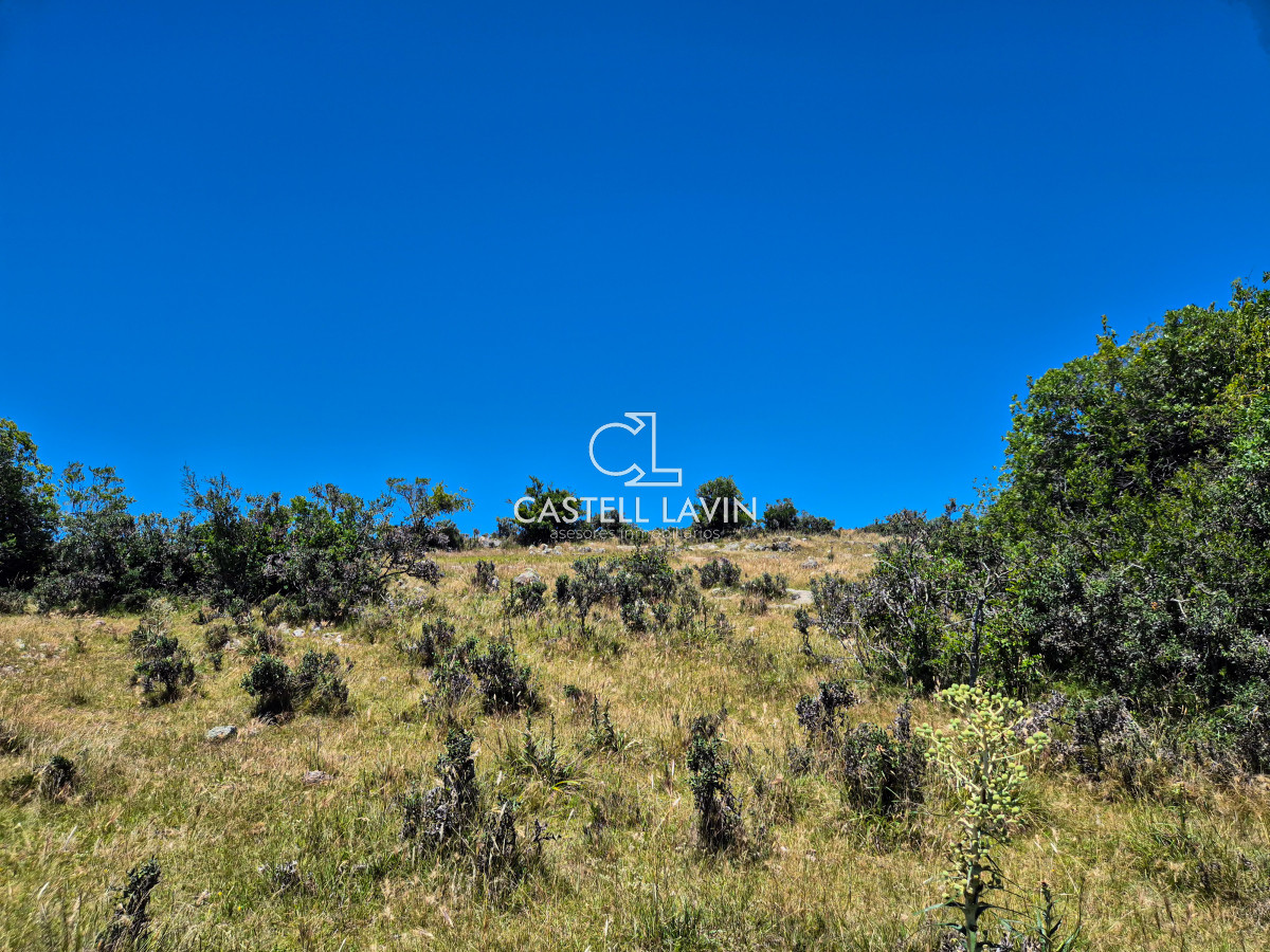 Chacra ID.148 - Venta Chacra 7 Hectáreas con Arroyo Corte de la Leña Maldonado
