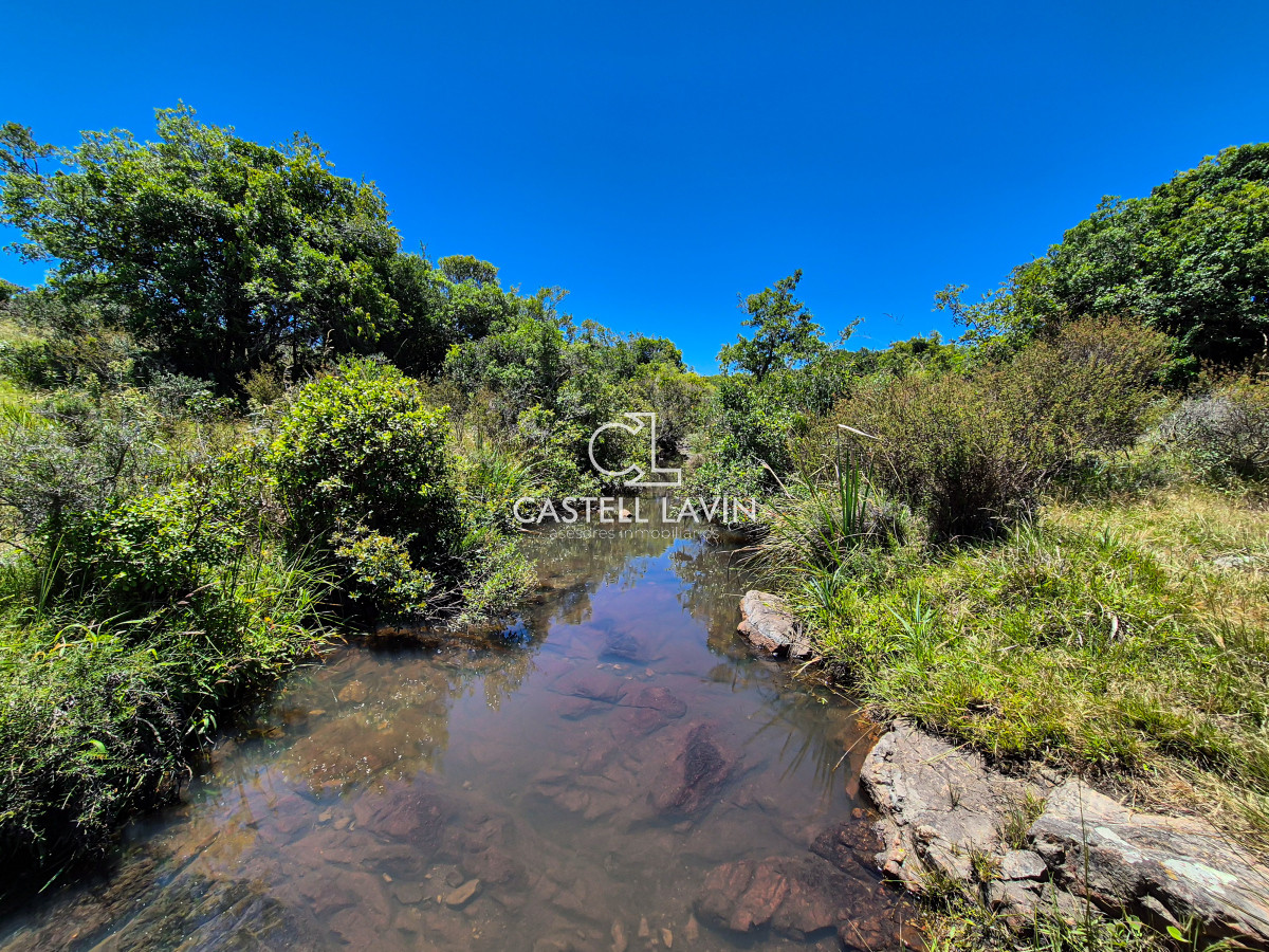 Chacra ID.148 - Venta Chacra 7 Hectáreas con Arroyo Corte de la Leña Maldonado