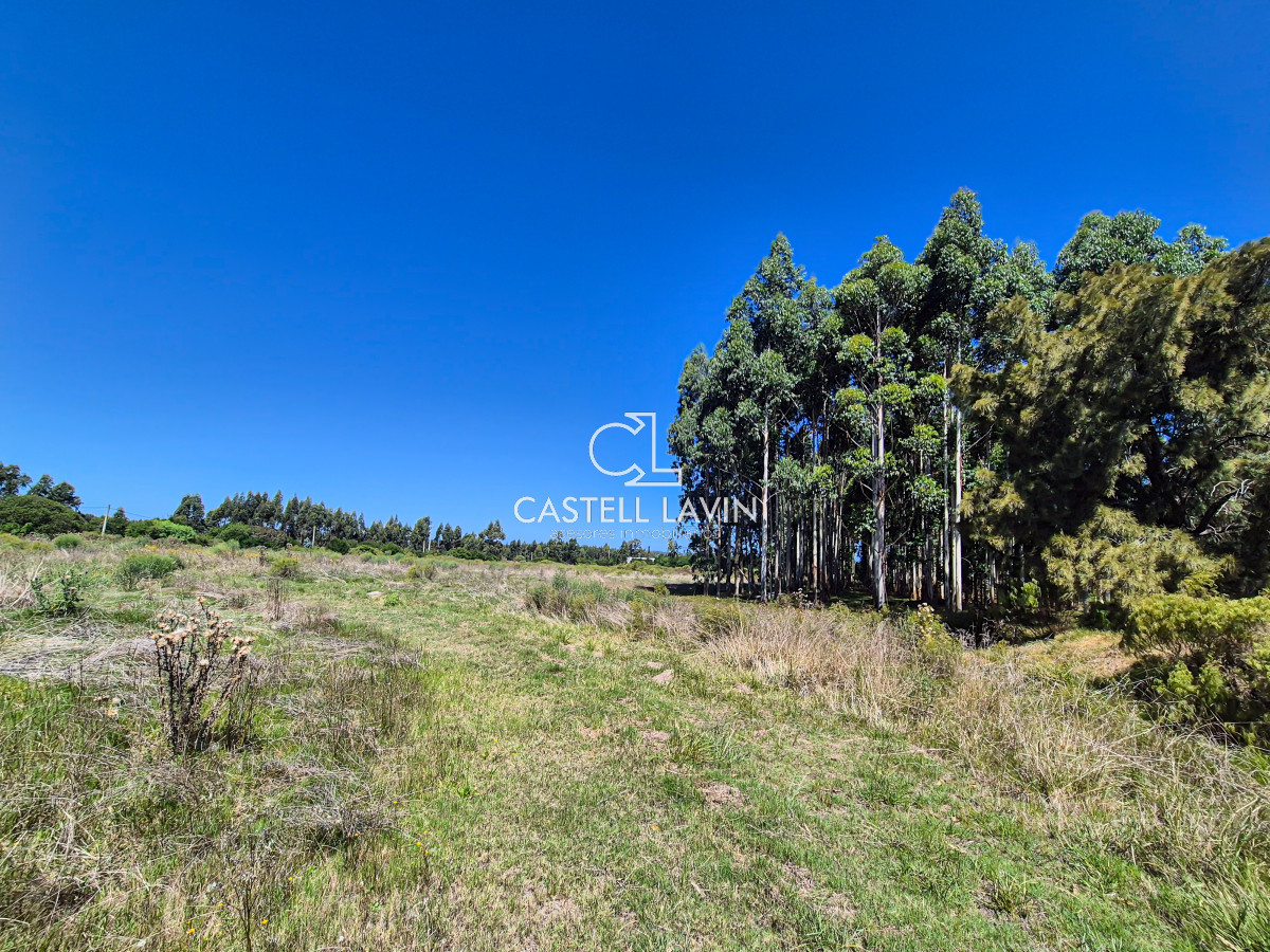 Chacra ID.339 - Venta Chacra 4 Dormitorios con Piscina Paso Cantera San Carlos