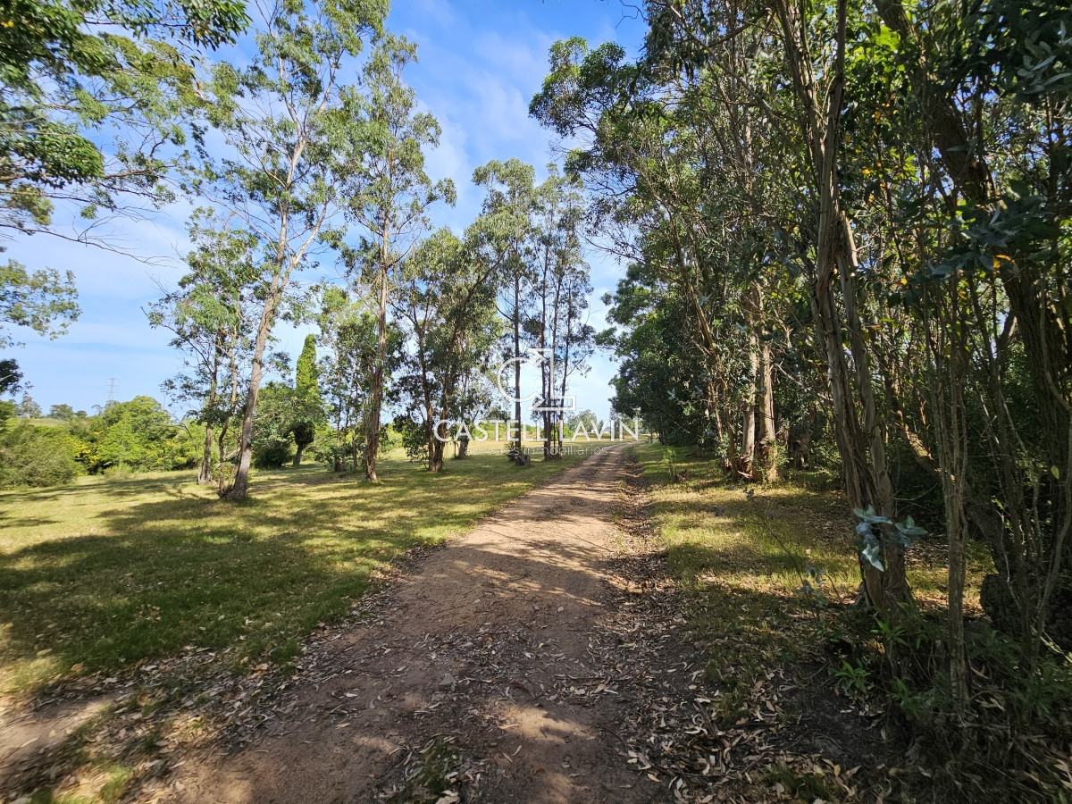 Chacra ID.47 - Venta Chacra con Casa en Ruta 104 Manantiales