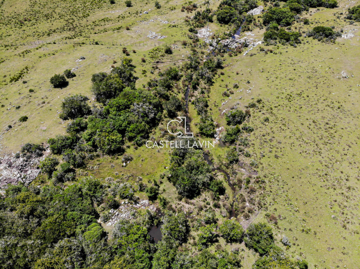 Chacra ID.148 - Venta Chacra 7 Hectáreas con Arroyo Corte de la Leña Maldonado