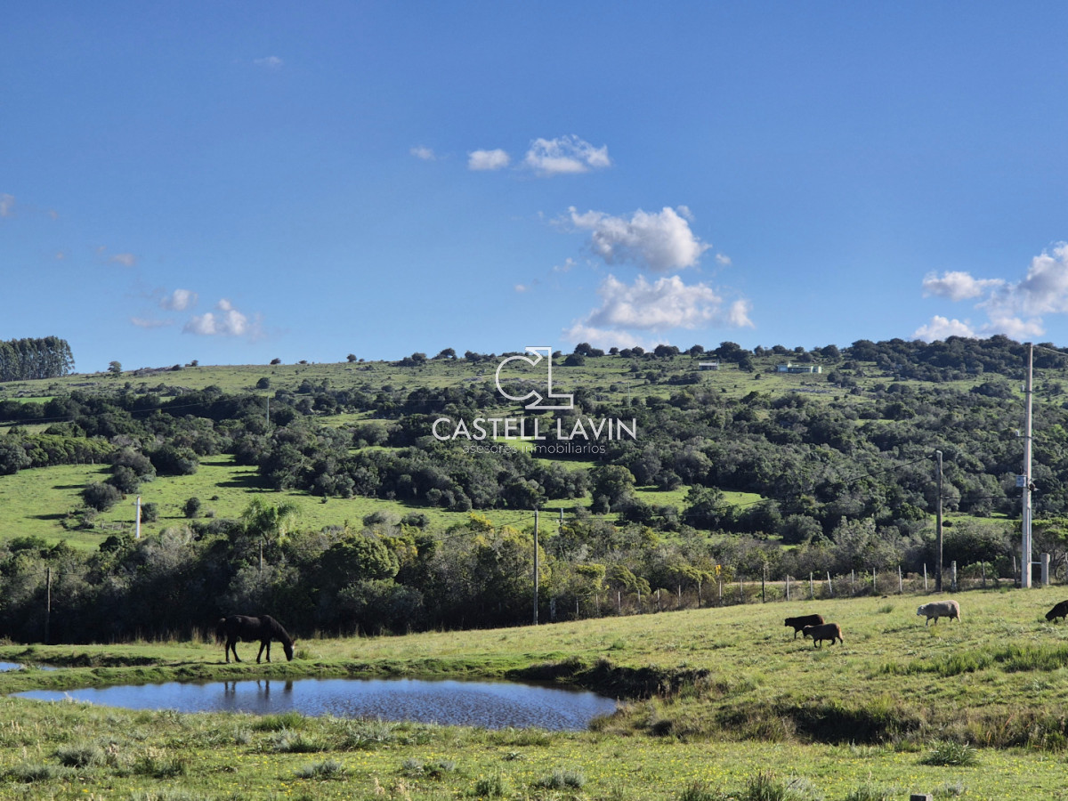 Chacra ID.1141 - Venta Chacra con 2 Casas en Las Cañas Ruta 39 Maldonado