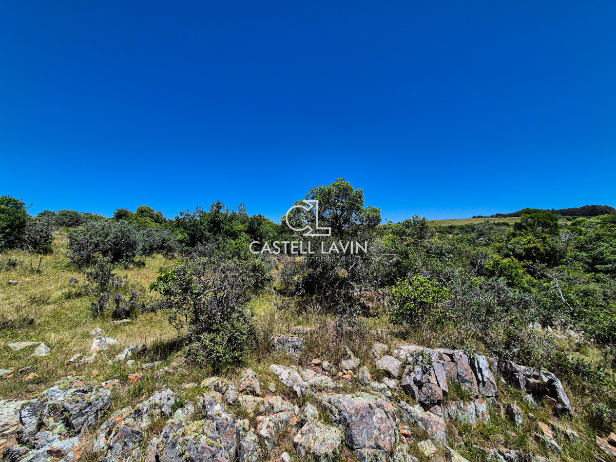 Chacra ID.148 - Venta Chacra 7 Hectáreas con Arroyo Corte de la Leña Maldonado
