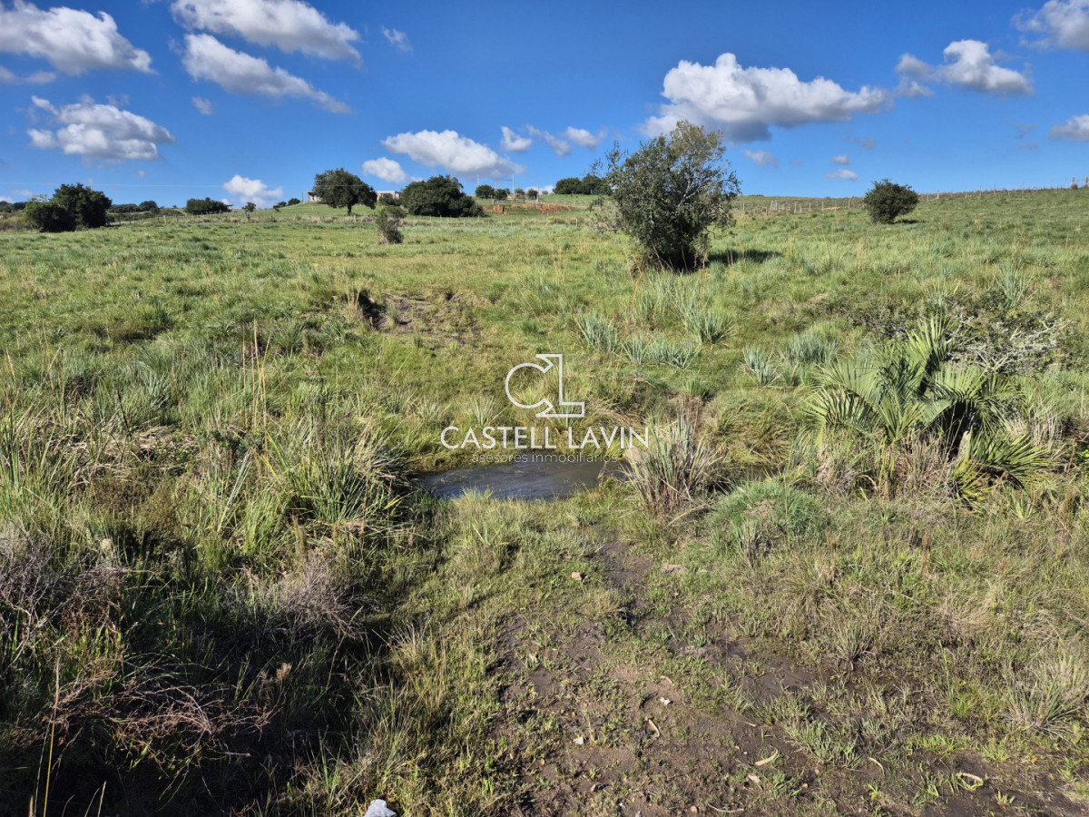 Chacra ID.1141 - Venta Chacra con 2 Casas en Las Cañas Ruta 39 Maldonado