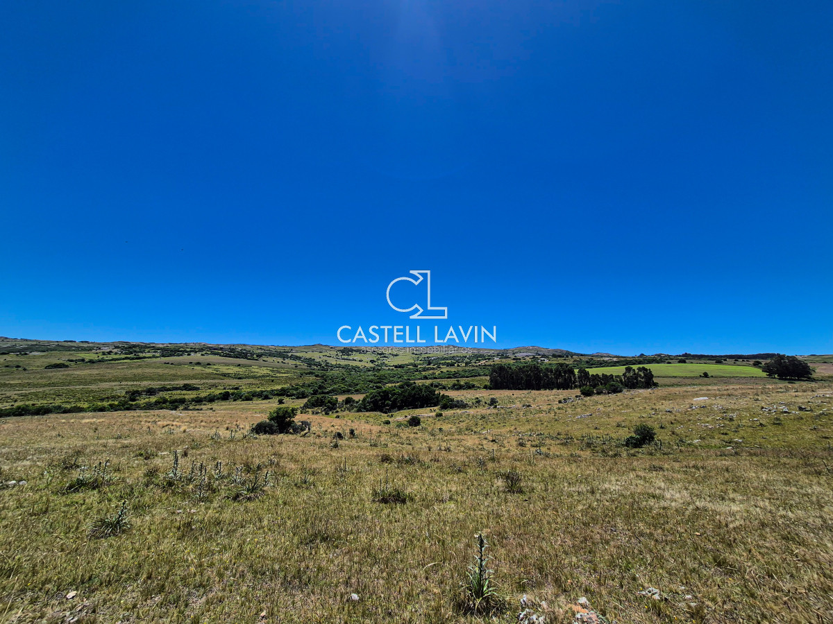 Chacra ID.148 - Venta Chacra 7 Hectáreas con Arroyo Corte de la Leña Maldonado