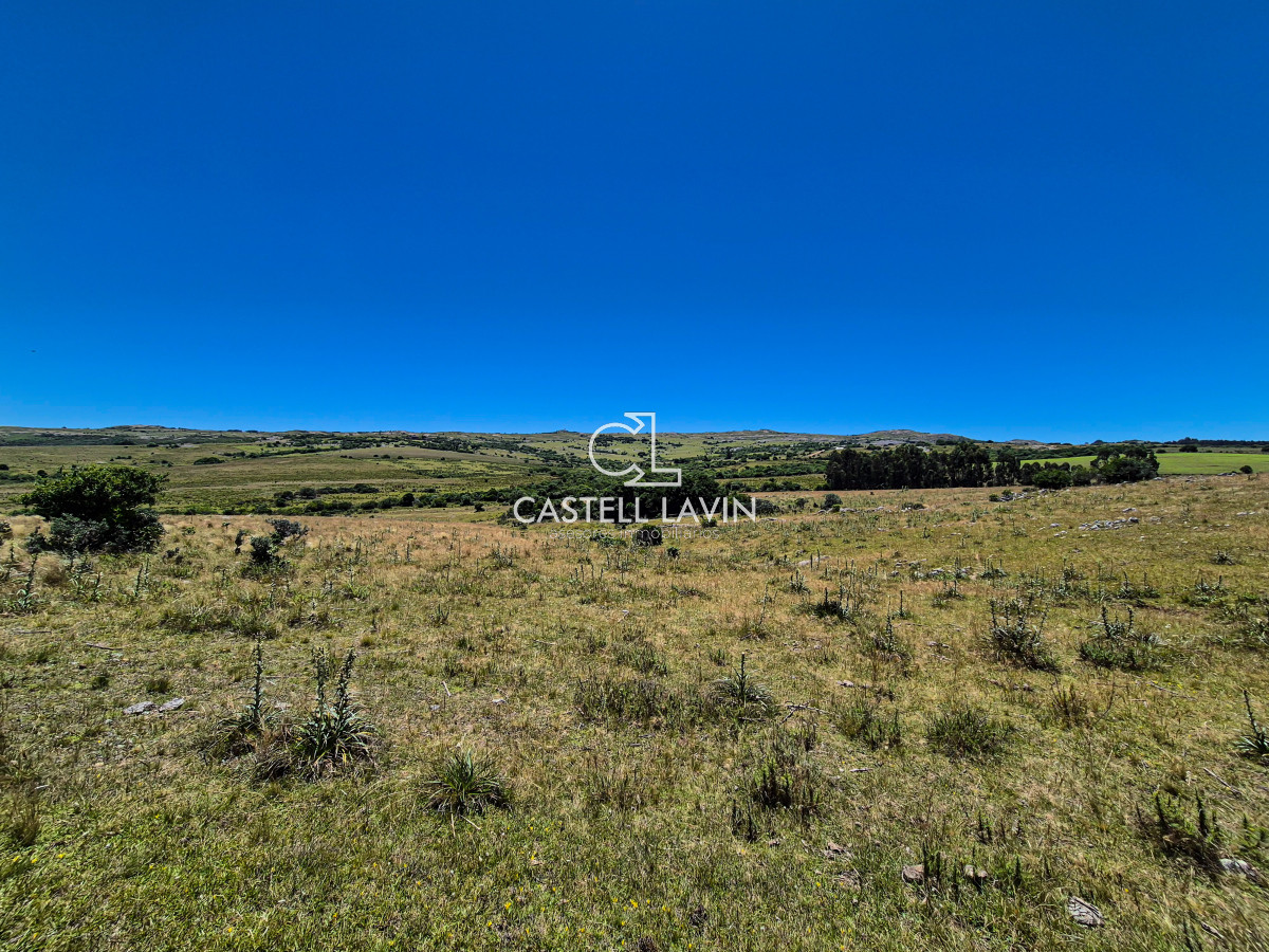 Chacra ID.148 - Venta Chacra 7 Hectáreas con Arroyo Corte de la Leña Maldonado