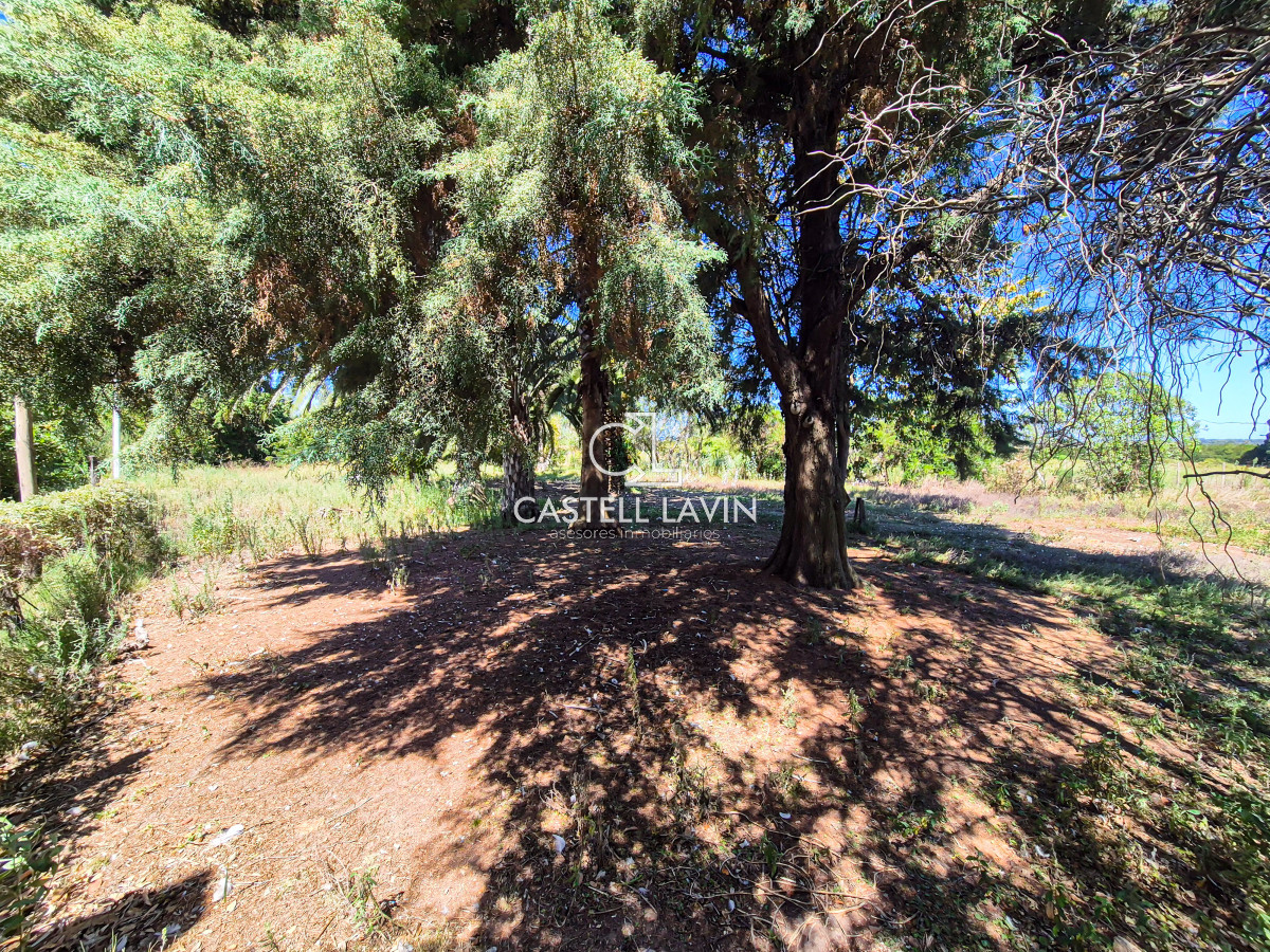 Chacra ID.339 - Venta Chacra 4 Dormitorios con Piscina Paso Cantera San Carlos