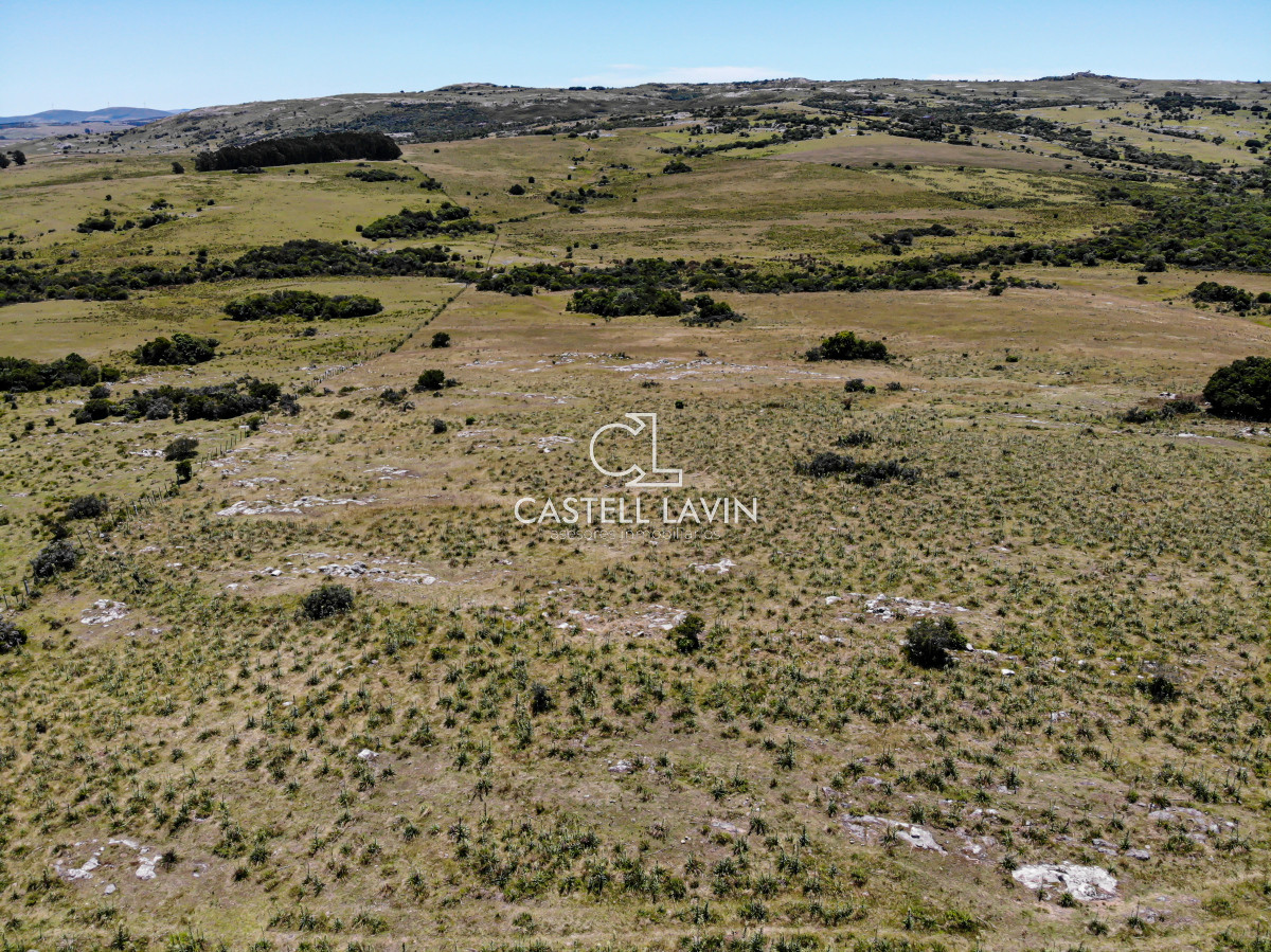 Chacra ID.148 - Venta Chacra 7 Hectáreas con Arroyo Corte de la Leña Maldonado