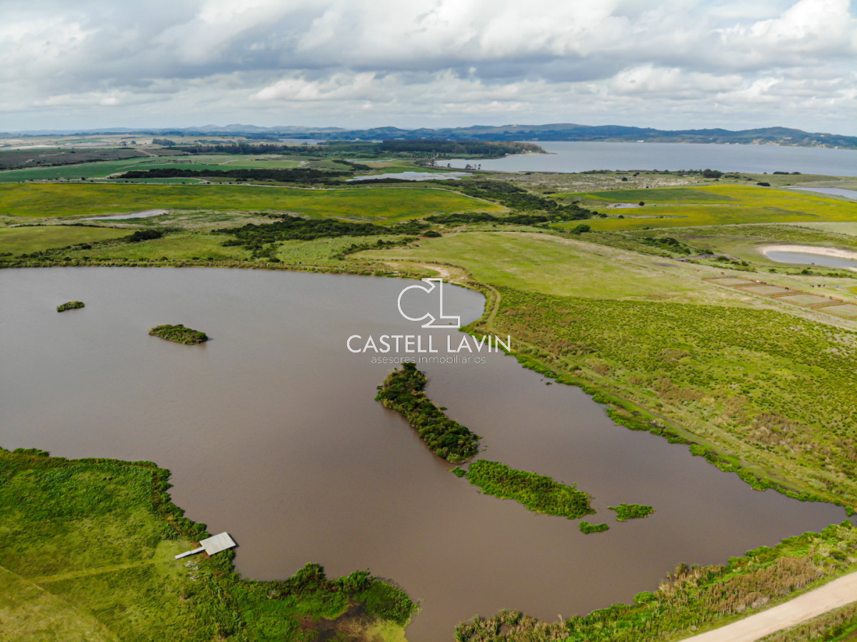 Chacra ID.958 - Venta Chacra 5 Hectáreas Laguna del Sauce Punta Ballena