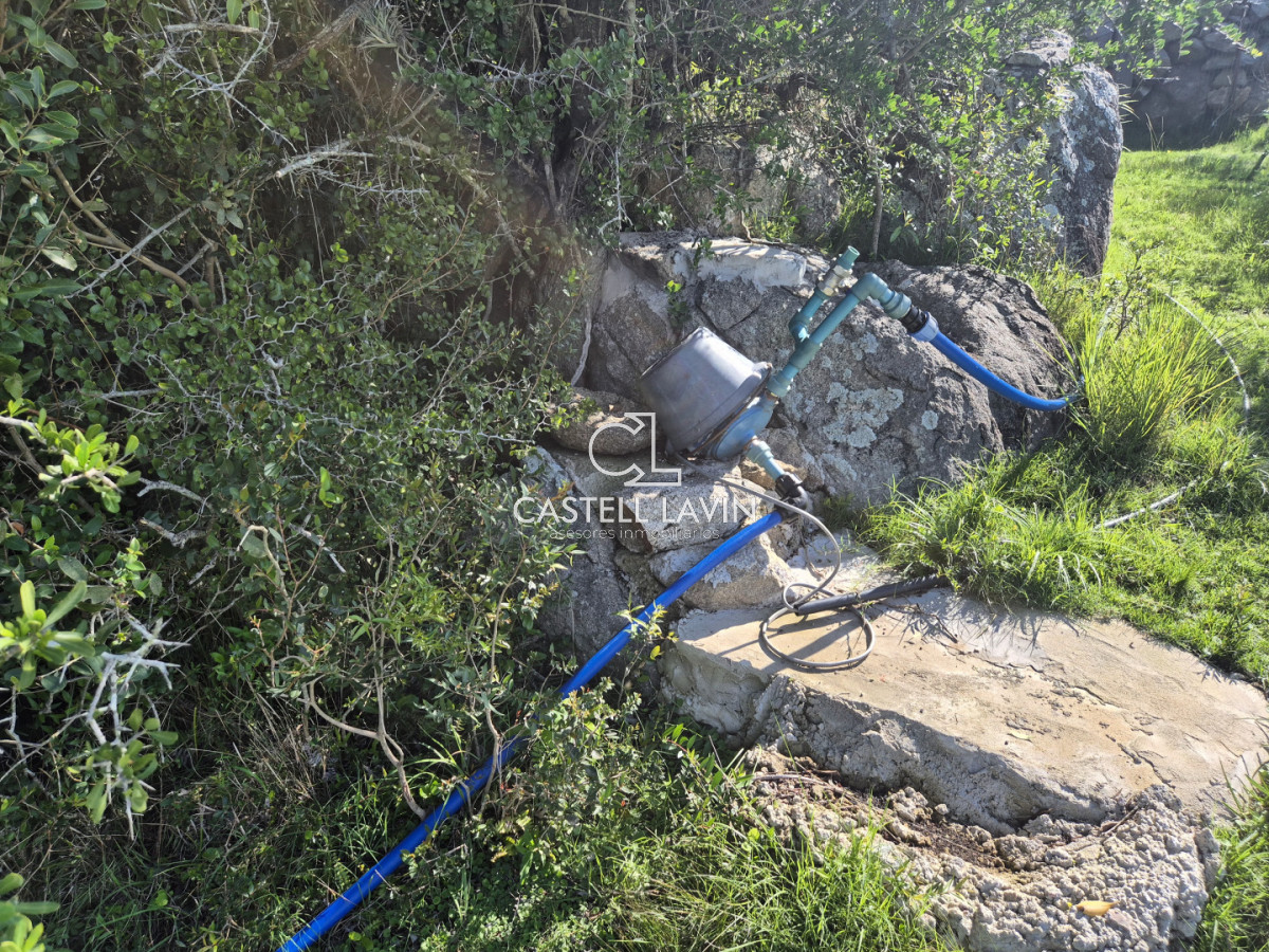 Chacra ID.1141 - Venta Chacra con 2 Casas en Las Cañas Ruta 39 Maldonado