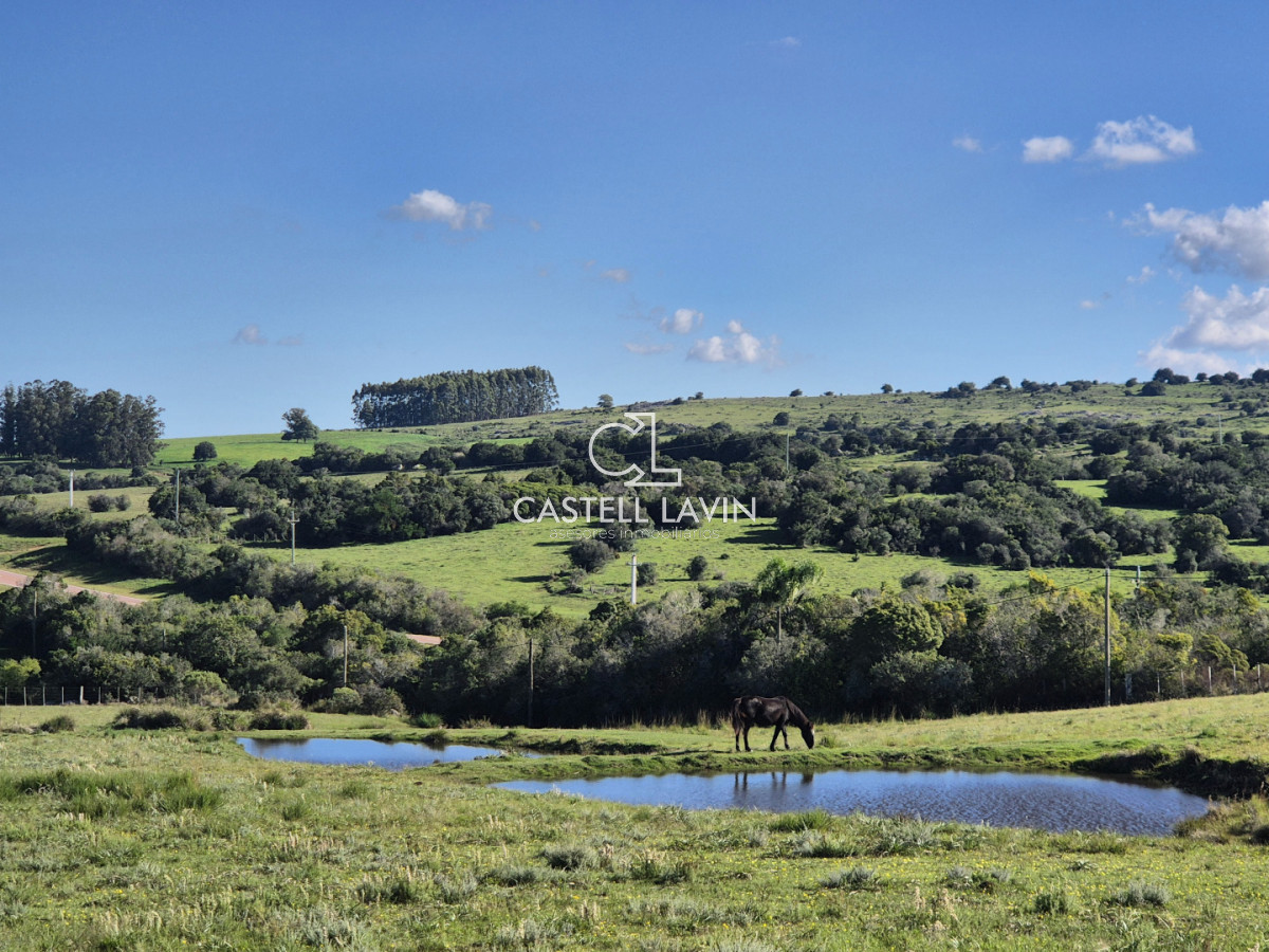 Chacra ID.1141 - Venta Chacra con 2 Casas en Las Cañas Ruta 39 Maldonado