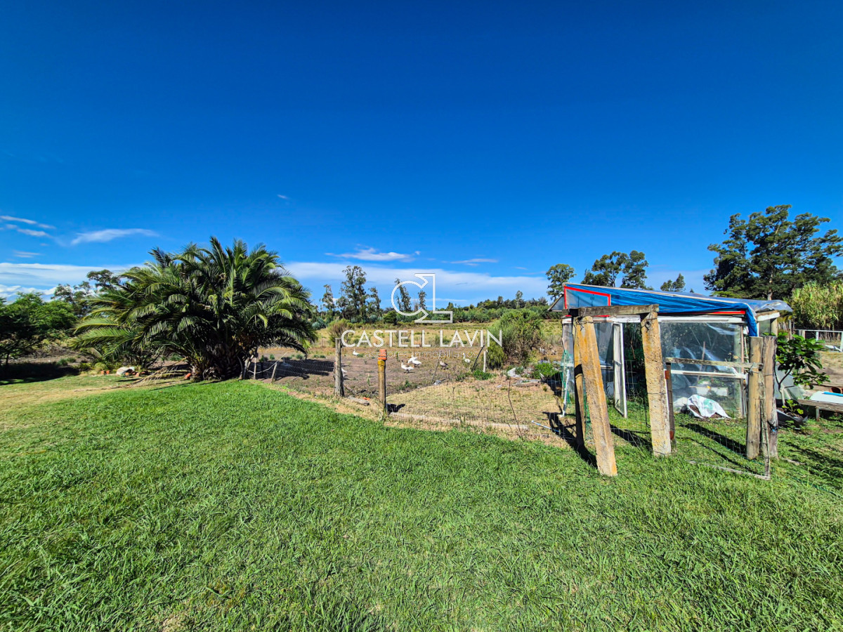 Chacra ID.1021 - Venta Chacra 4 Dormitorios en Camino de los Ceibos San Carlos Maldonado