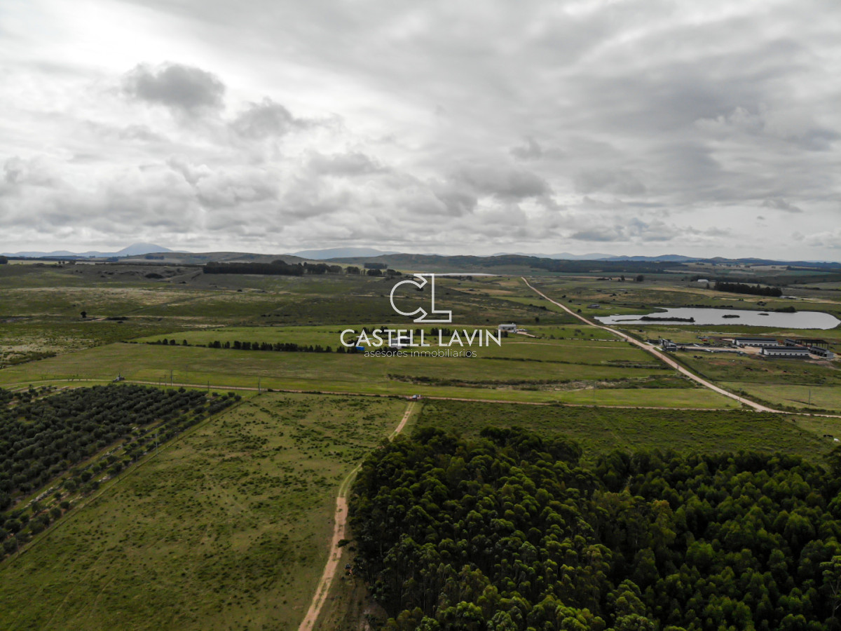 Chacra ID.956 - Venta Chacra 5 Hectáreas sobre la Laguna del Sauce Punta Ballena