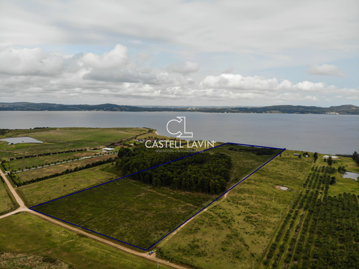 Chacra ID.956 - Venta Chacra 5 Hectáreas sobre la Laguna del Sauce Punta Ballena