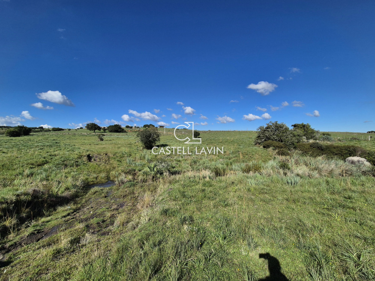 Chacra ID.1141 - Venta Chacra con 2 Casas en Las Cañas Ruta 39 Maldonado