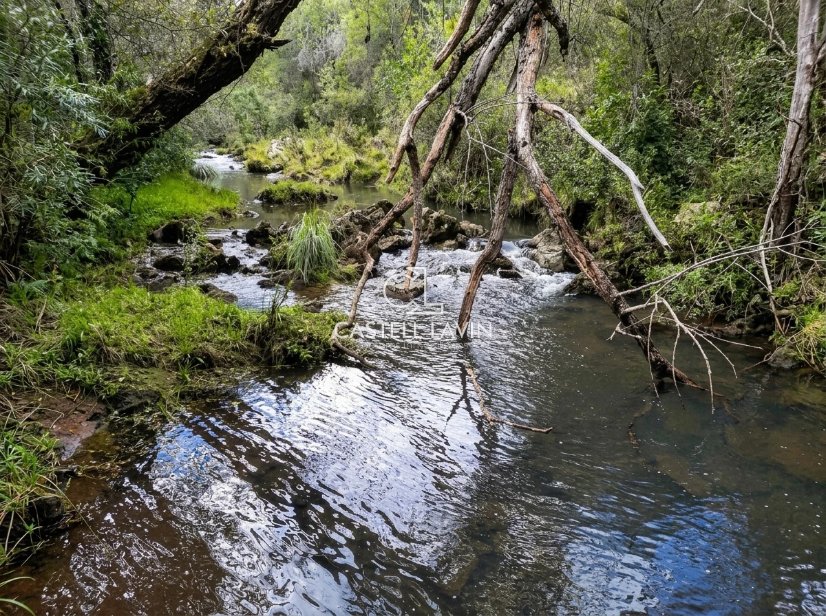 Chacra ID.1168 - Venta Chacra Turistica 5 hectáreas con cabaña 2 Dormitorios en Sierras de Carape Maldonado