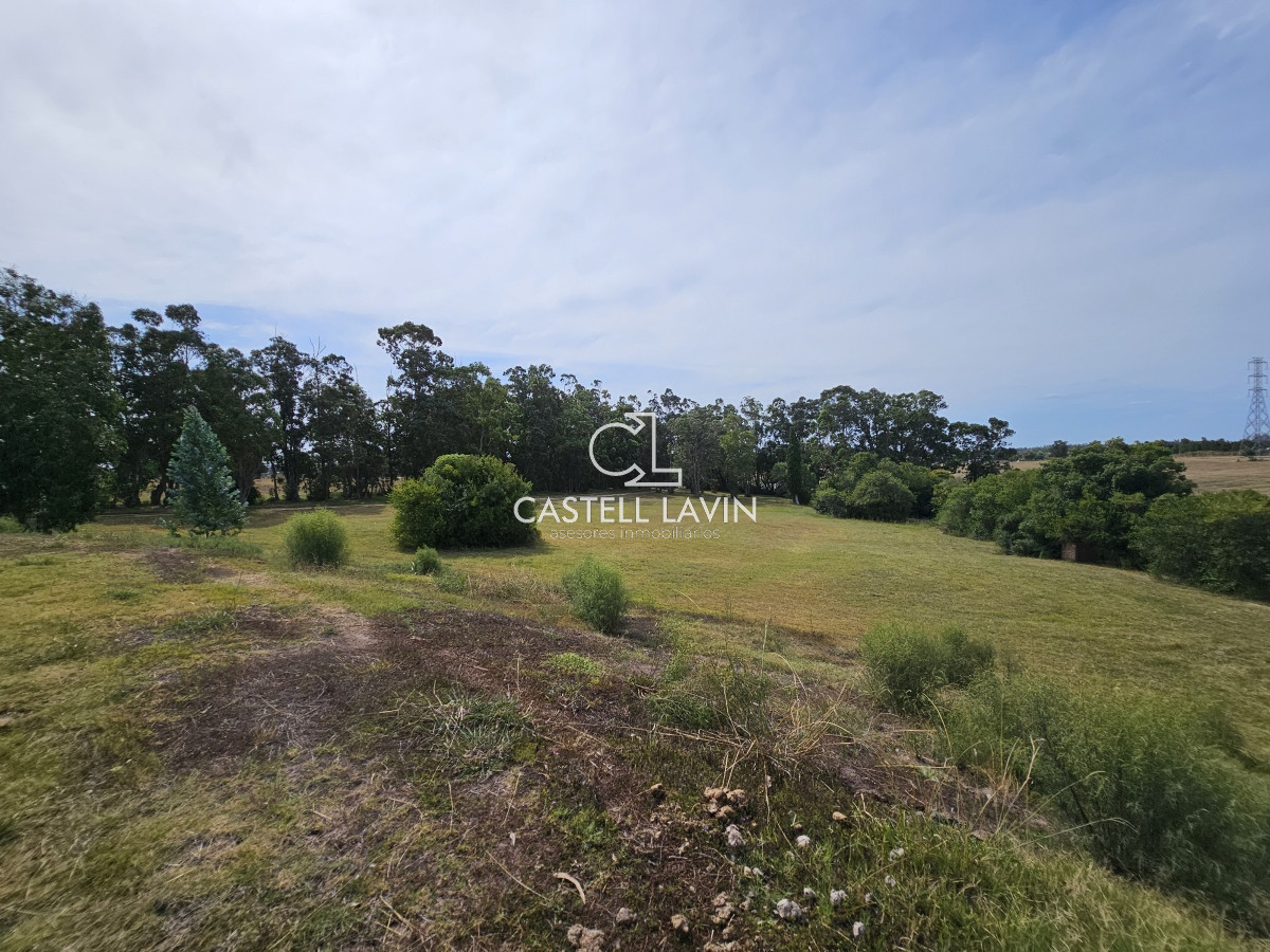 Chacra ID.47 - Venta Chacra con Casa en Ruta 104 Manantiales