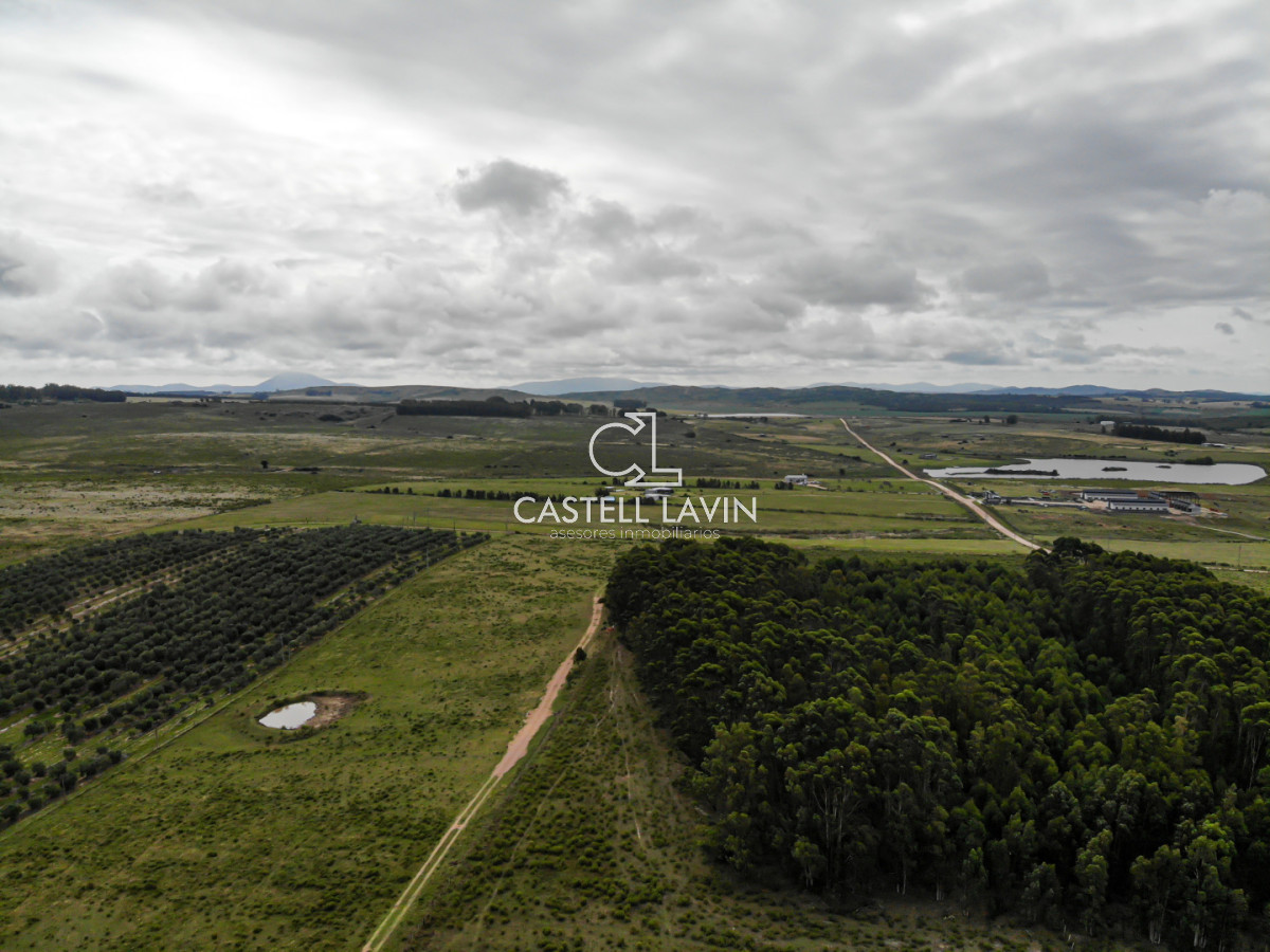 Chacra ID.955 - Venta Chacra 5 Hectáreas sobre la Laguna del Sauce Punta Ballena