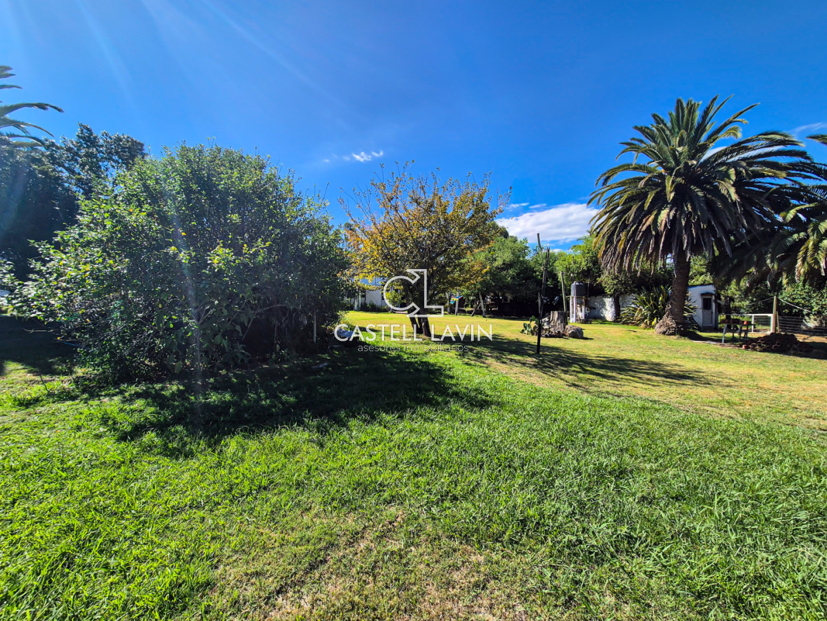 Chacra ID.1021 - Venta Chacra 4 Dormitorios en Camino de los Ceibos San Carlos Maldonado