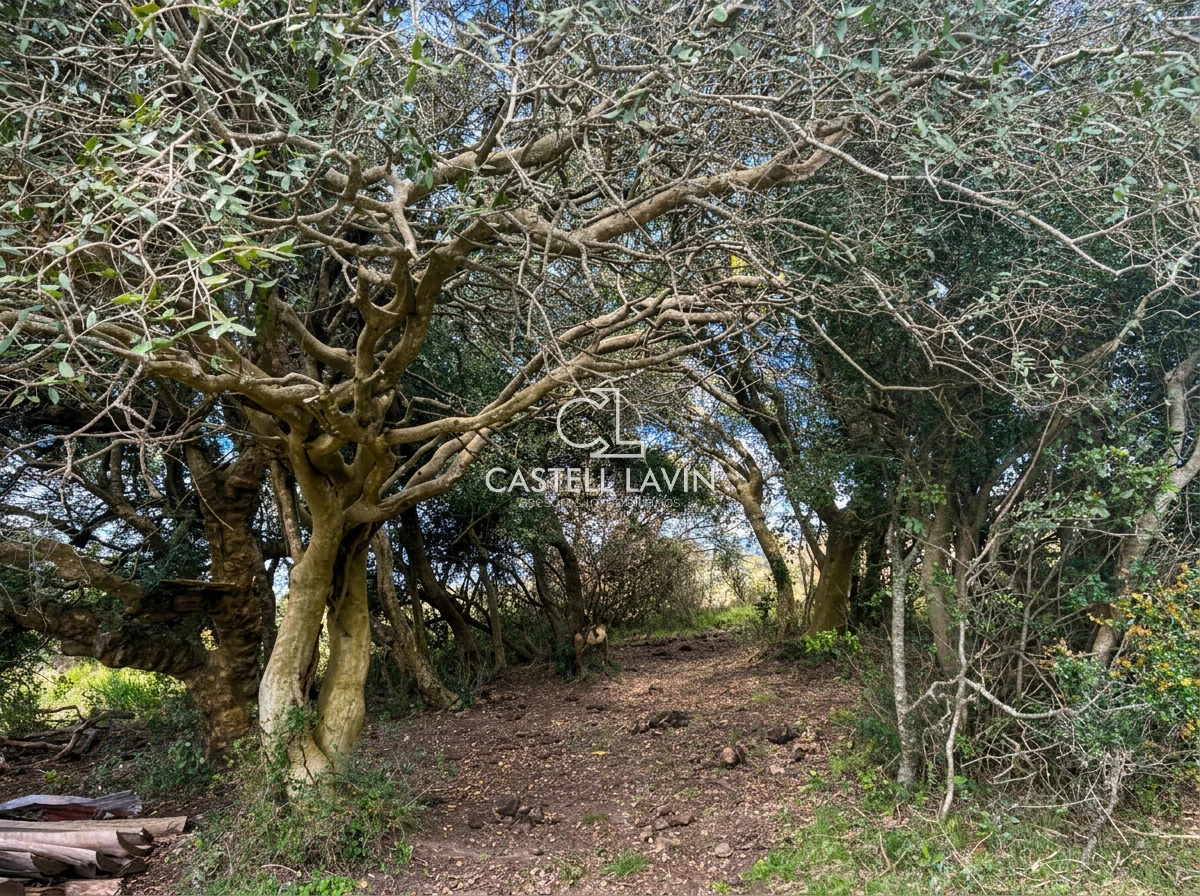 Chacra ID.1168 - Venta Chacra Turistica 5 hectáreas con cabaña 2 Dormitorios en Sierras de Carape Maldonado