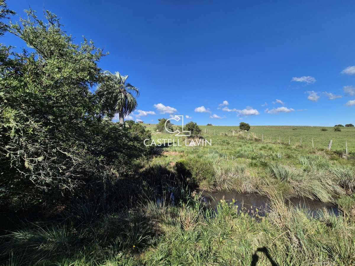 Chacra ID.1141 - Venta Chacra con 2 Casas en Las Cañas Ruta 39 Maldonado