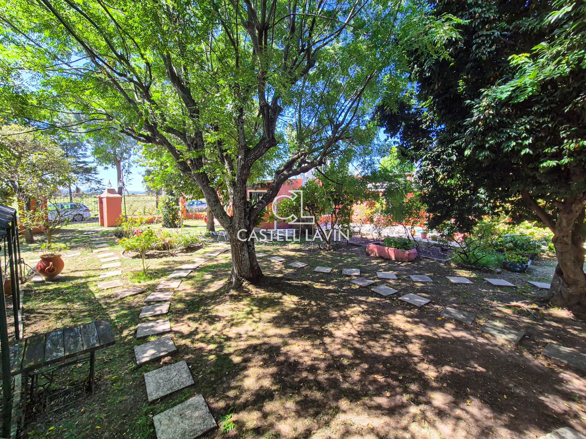 Chacra ID.339 - Venta Chacra 4 Dormitorios con Piscina Paso Cantera San Carlos