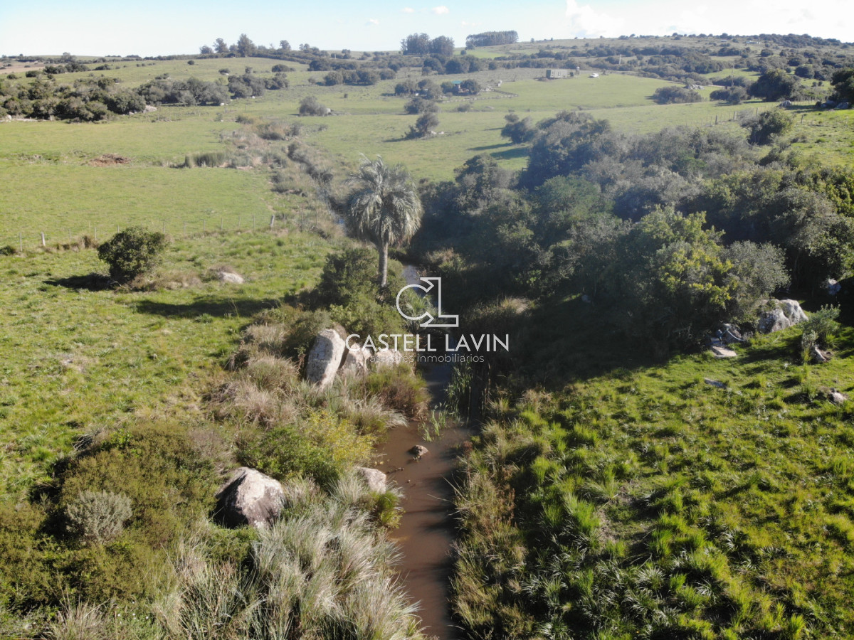 Chacra ID.1141 - Venta Chacra con 2 Casas en Las Cañas Ruta 39 Maldonado