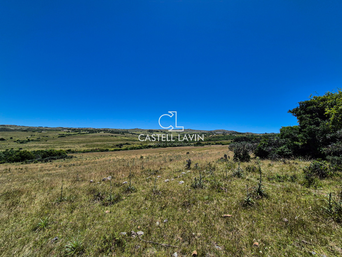 Chacra ID.148 - Venta Chacra 7 Hectáreas con Arroyo Corte de la Leña Maldonado