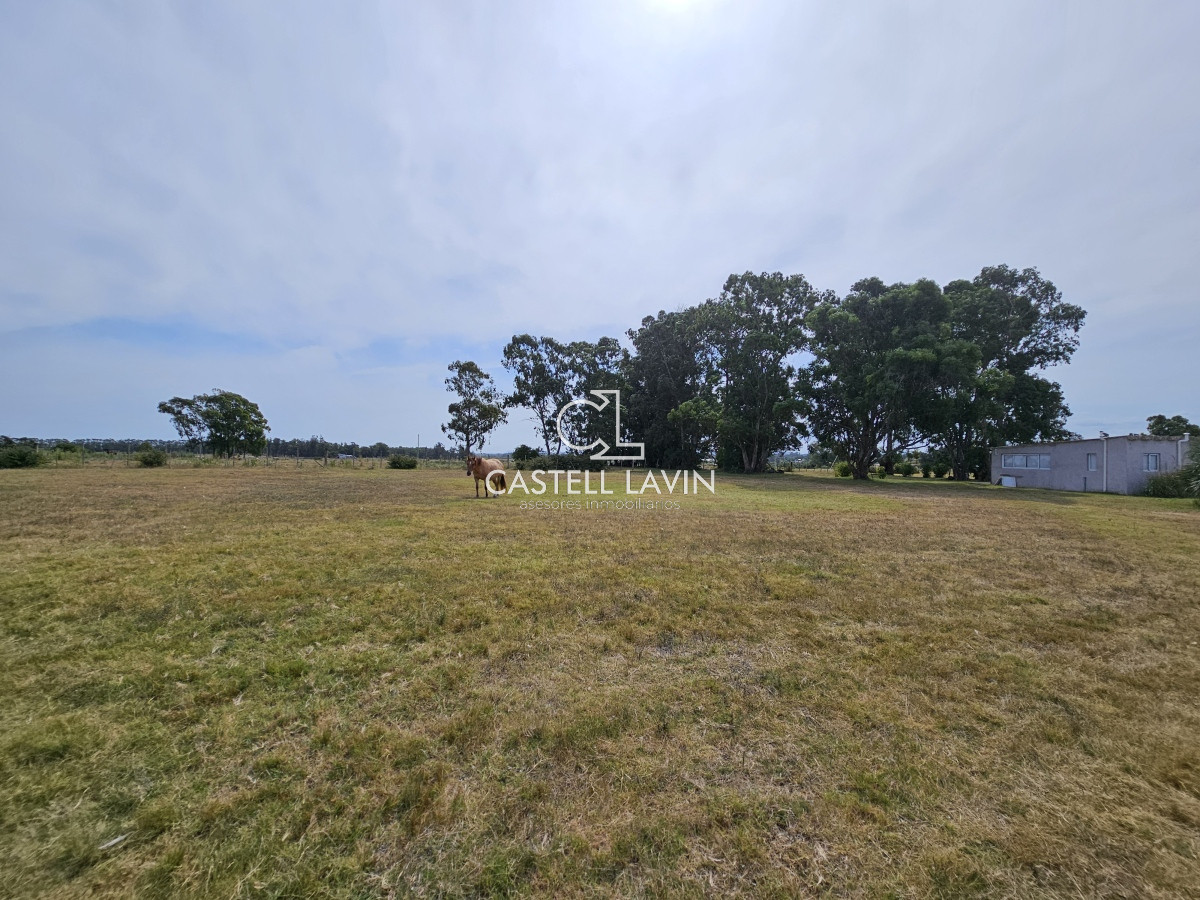 Chacra ID.47 - Venta Chacra con Casa en Ruta 104 Manantiales