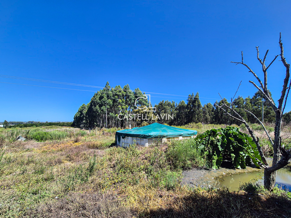 Chacra ID.339 - Venta Chacra 4 Dormitorios con Piscina Paso Cantera San Carlos