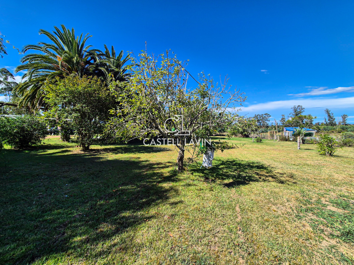 Chacra ID.1021 - Venta Chacra 4 Dormitorios en Camino de los Ceibos San Carlos Maldonado