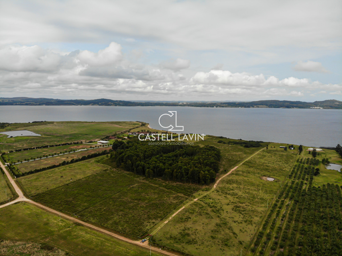 Chacra ID.955 - Venta Chacra 5 Hectáreas sobre la Laguna del Sauce Punta Ballena