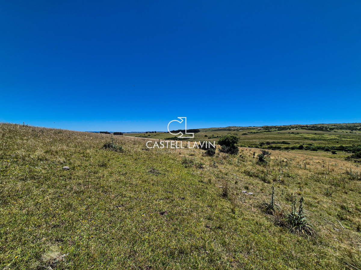 Chacra ID.148 - Venta Chacra 7 Hectáreas con Arroyo Corte de la Leña Maldonado