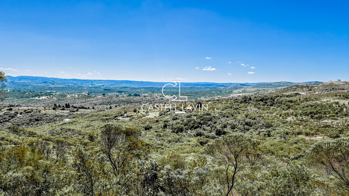 Chacra ID.9 - Venta Chacra con Piscina Climatizada 3 Dormitorios Las Cañas Maldonado 