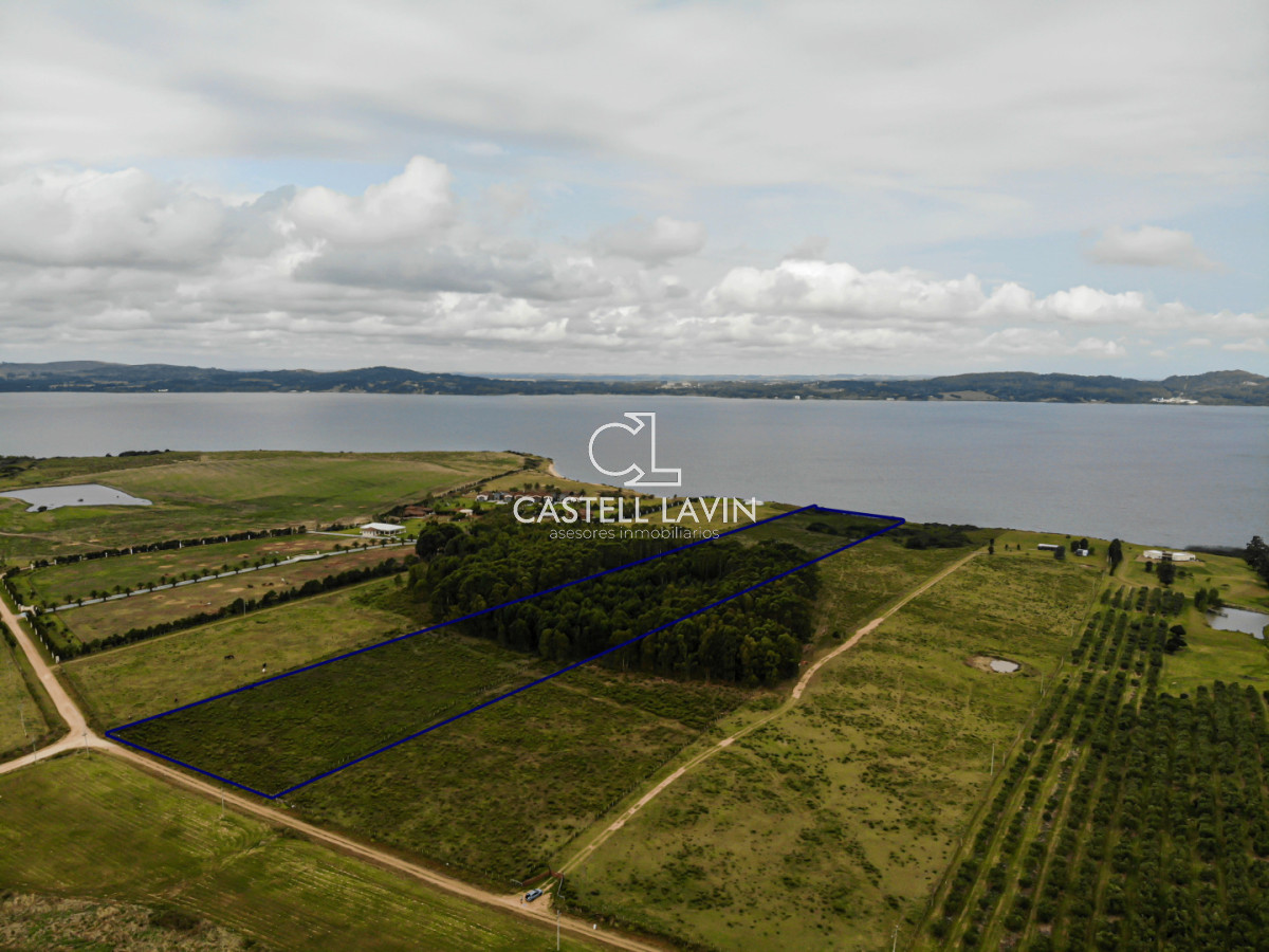 Chacra ID.956 - Venta Chacra 5 Hectáreas sobre la Laguna del Sauce Punta Ballena