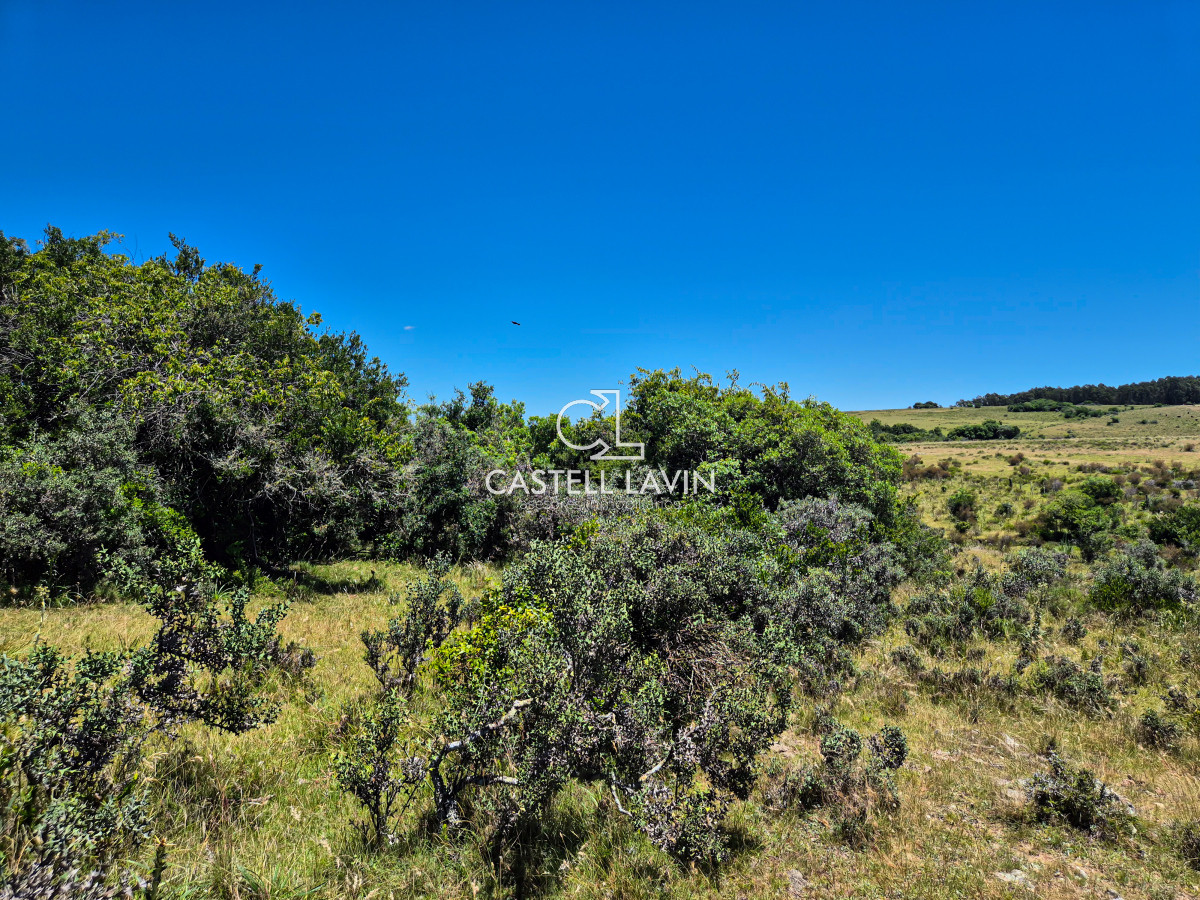 Chacra ID.148 - Venta Chacra 7 Hectáreas con Arroyo Corte de la Leña Maldonado