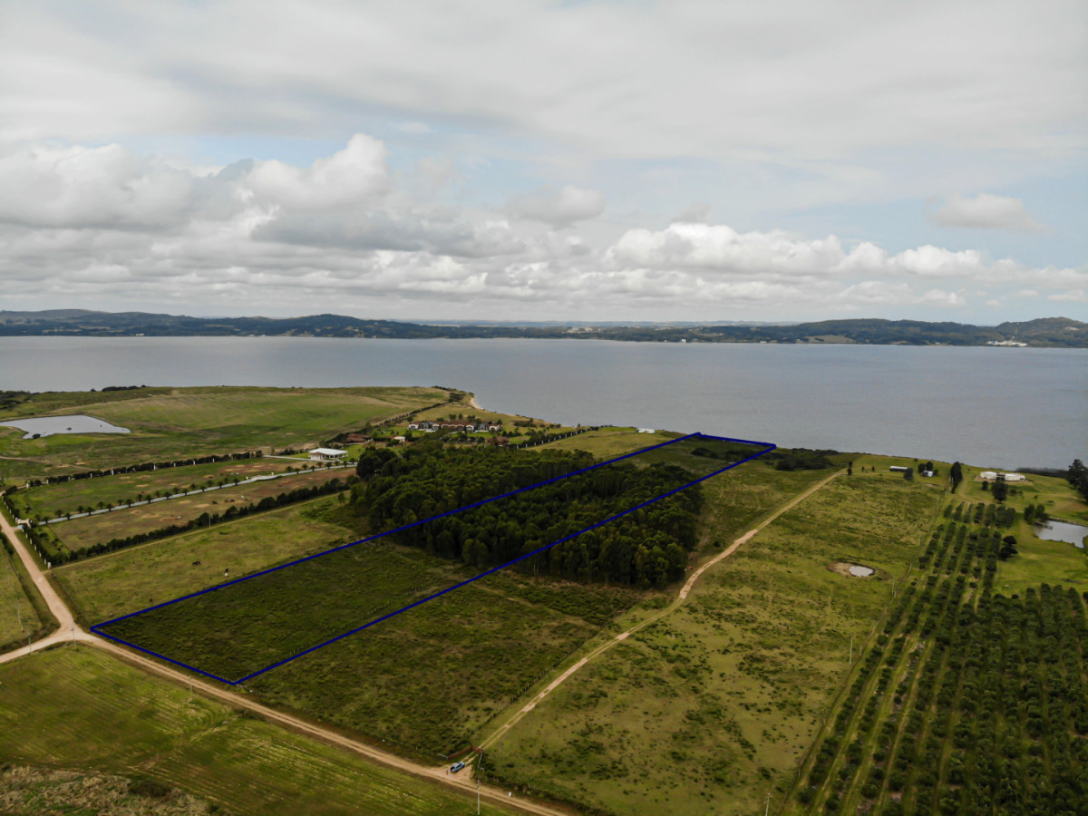 Venta Chacra 5 Hectáreas sobre la Laguna del Sauce Punta Ballena