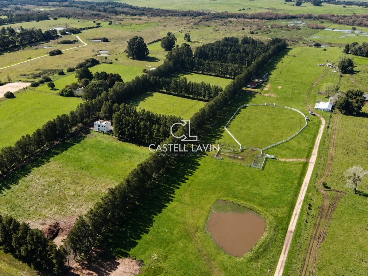 Campo Ref.1310 - Venta Campo 19 Ha sobre Ruta 39  San Carlos Maldonado