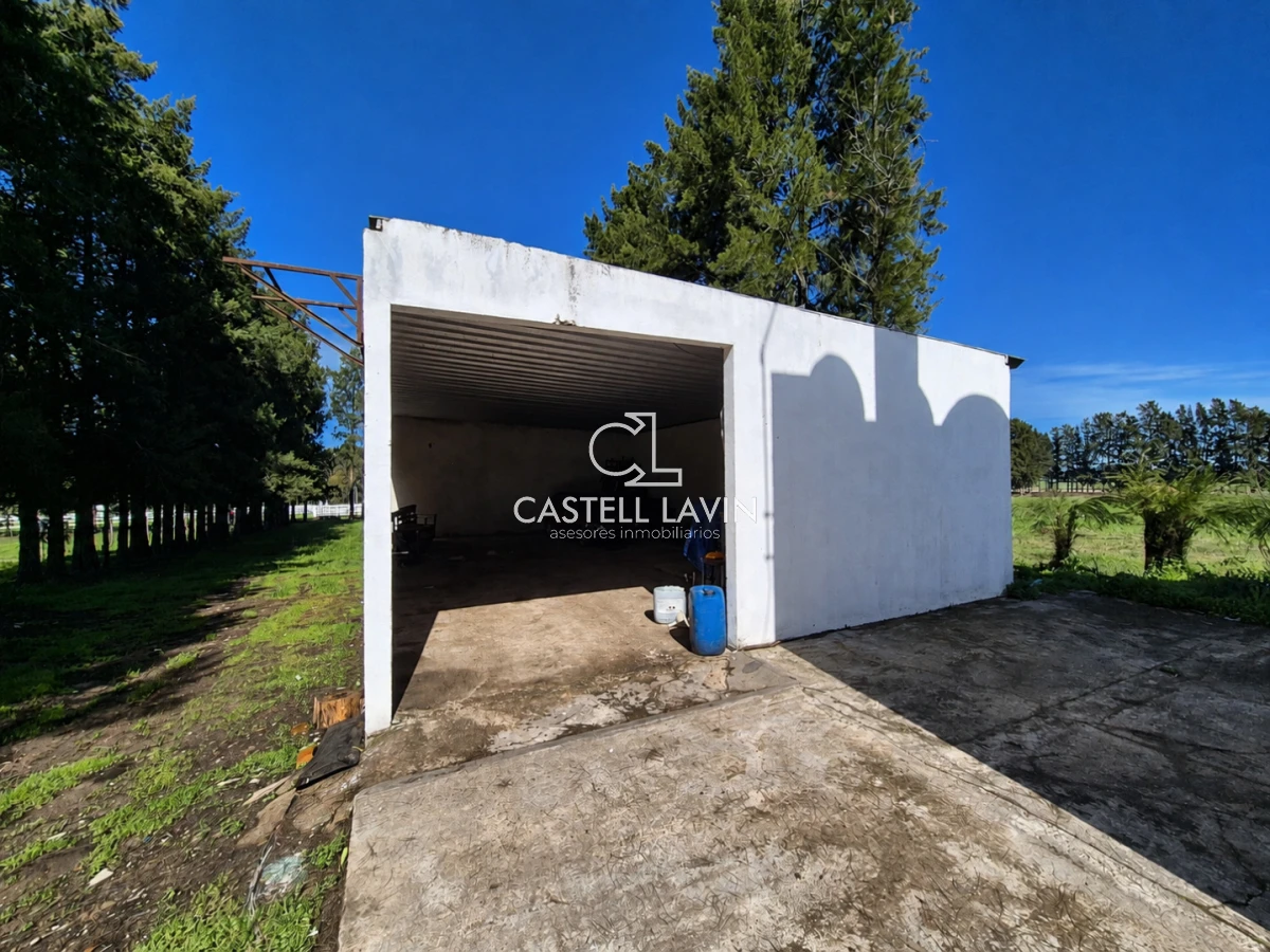 Campo Ref.1310 - Venta Campo 19 Ha sobre Ruta 39  San Carlos Maldonado