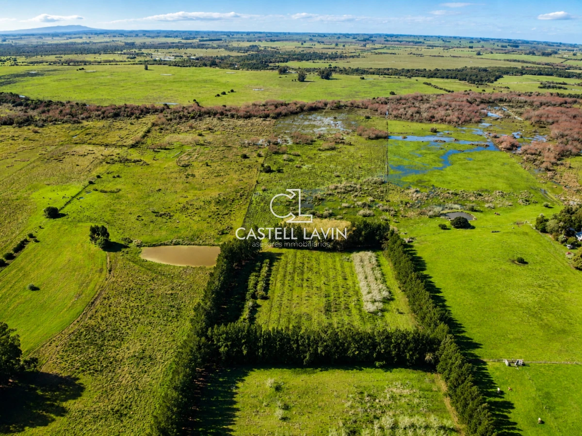 Campo Ref.1310 - Venta Campo 19 Ha sobre Ruta 39  San Carlos Maldonado