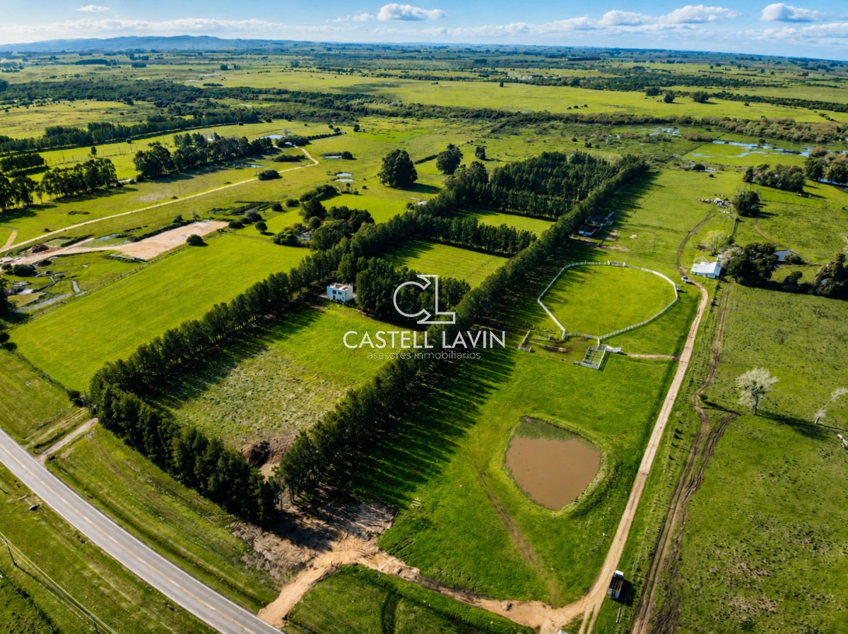 Campo Ref.1310 - Venta Campo 19 Ha sobre Ruta 39  San Carlos Maldonado