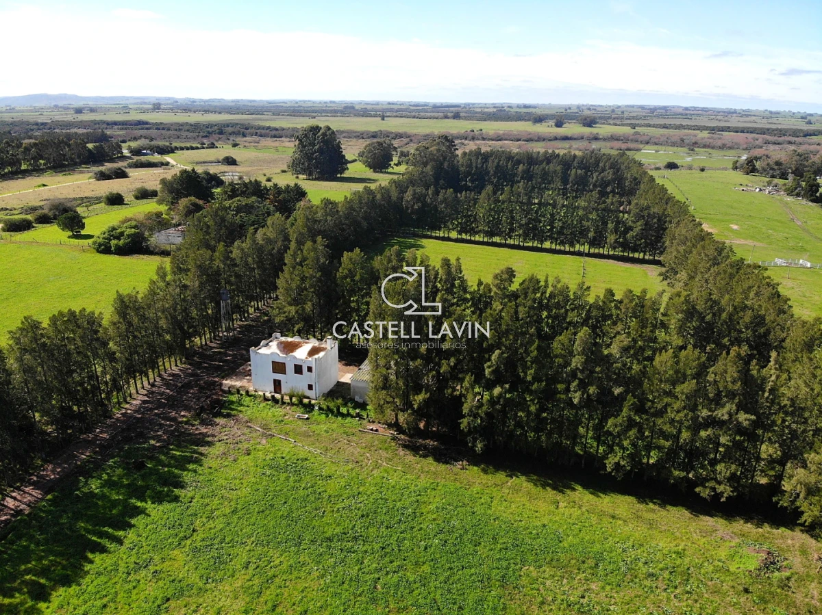 Campo Ref.1310 - Venta Campo 19 Ha sobre Ruta 39  San Carlos Maldonado