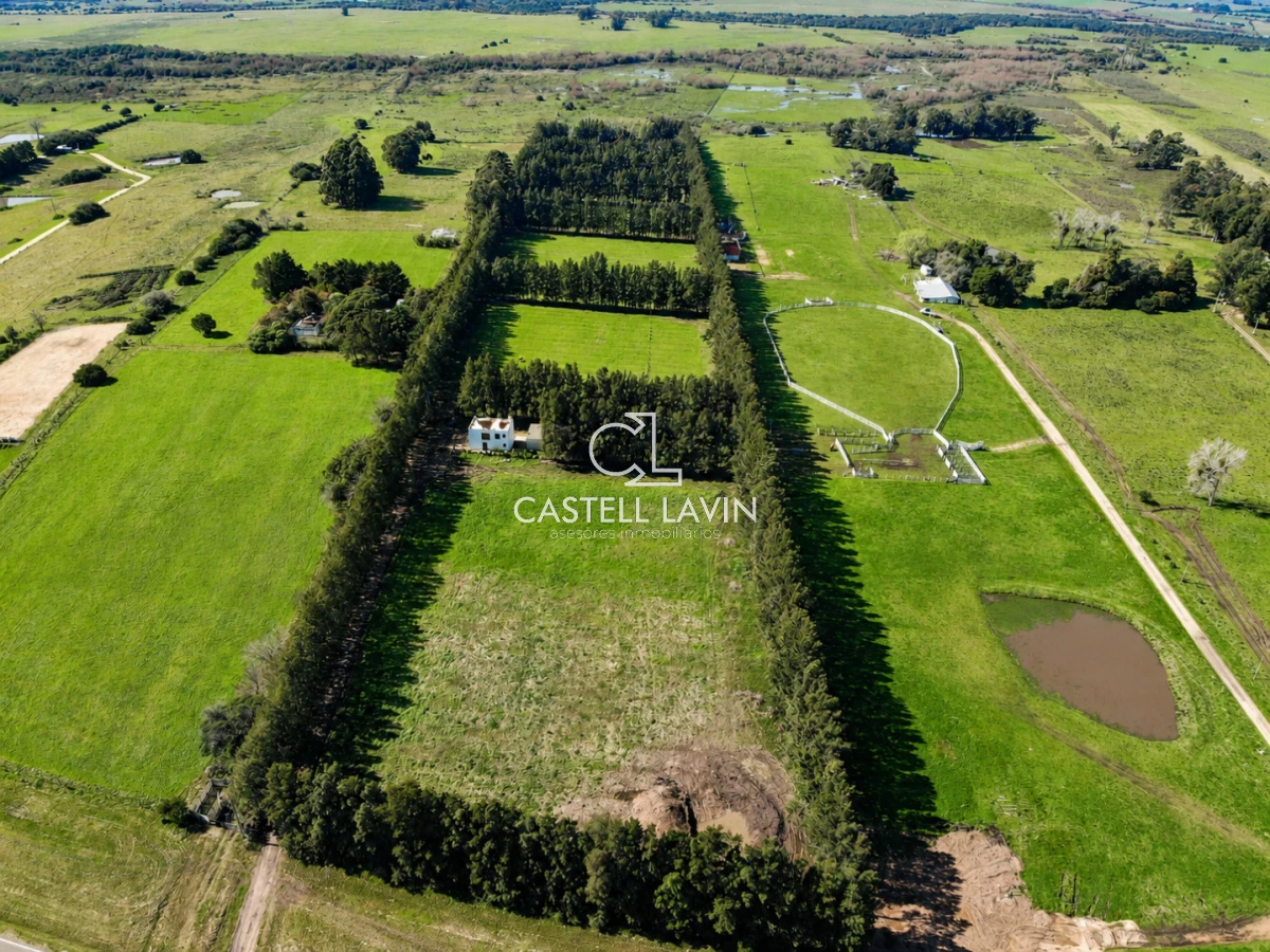 Campo Ref.1310 - Venta Campo 19 Ha sobre Ruta 39  San Carlos Maldonado